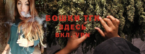шишки Новокубанск